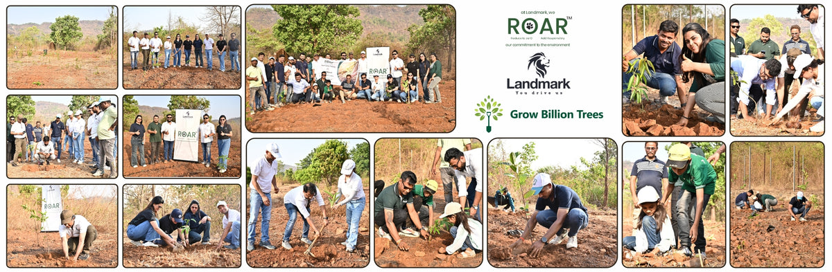 Group Landmark’s ROAR: Driving CSR Through Agroforests
