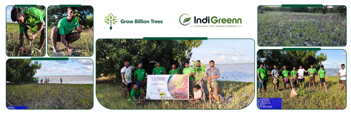 Incanova: Turning Every Purchase into Climate Action