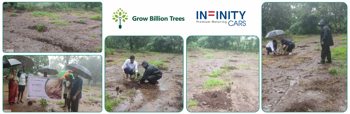 Green Trail by Infinity Cars: Turning Customer Milestones into Forests