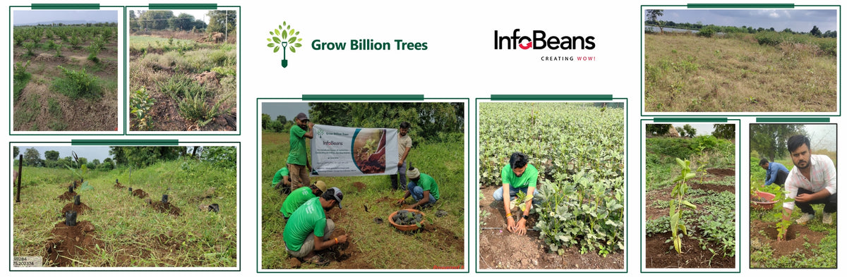 InfoBeans Forest of Connection: Celebrating Birthdays, Planting Dreams