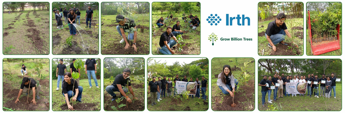 SaaS Meets Sustainability: Irth Solutions’ CSR Through Urban Forests