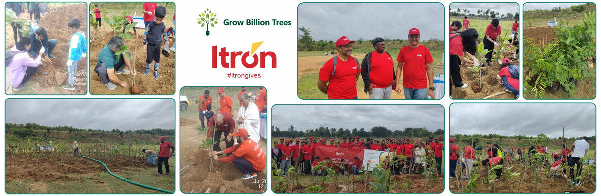 Branching Out for Change: Itron India Pvt Ltd's CSR for Urban Forests