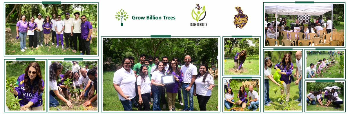 Runs to Roots: Kolkata Knight Riders’ Green Commitment