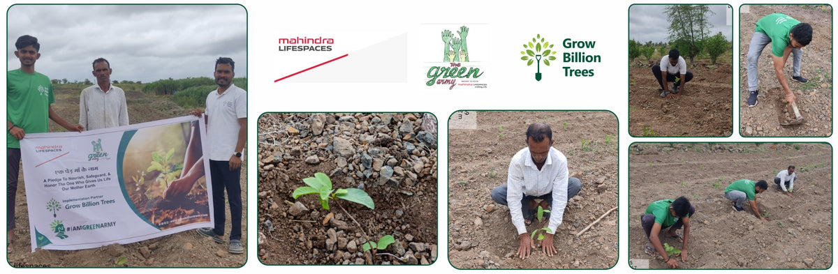 एक पेड़ माँ के नाम: A Greener Tribute by Mahindra Lifespaces
