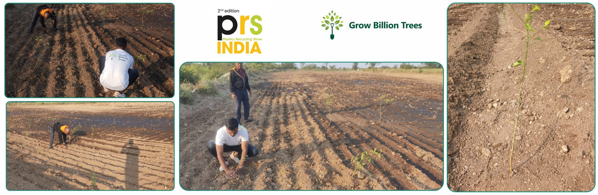 Cultivating Responsibility: Media Fusion’s Green Step with PRSI 2025