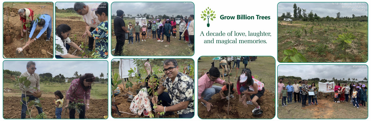 Magic, Love, and a Million Leaves: Celebrating Mehak at 10