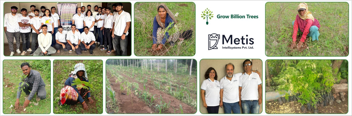 Planting in Memory: Metis Intellisystems Pvt. Ltd.'s Agroforest of Remembrance