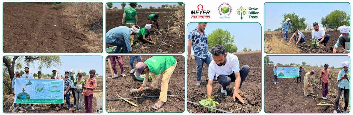 Growing Gratitude: Meyer Organics’ Green Gift for Doctors