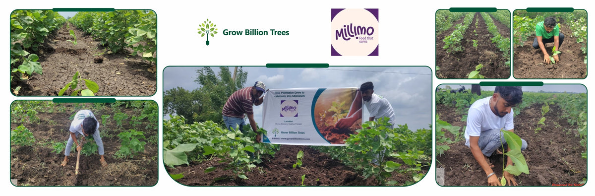 One Order, One Tree: MilliMo's Van Mahotsav Initiative