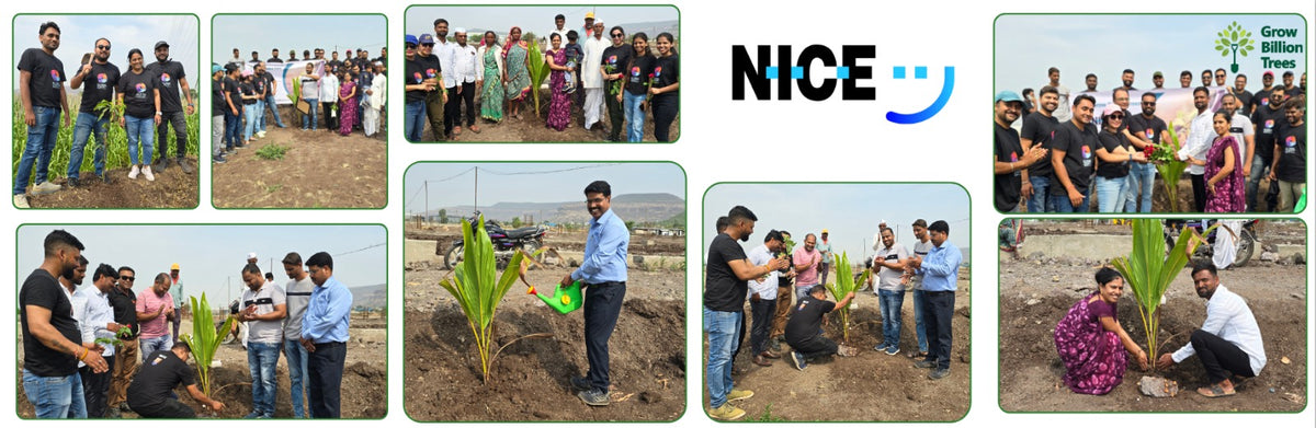 Agroforest Allies: NICE’s Employee Engagement Through Tree Planting
