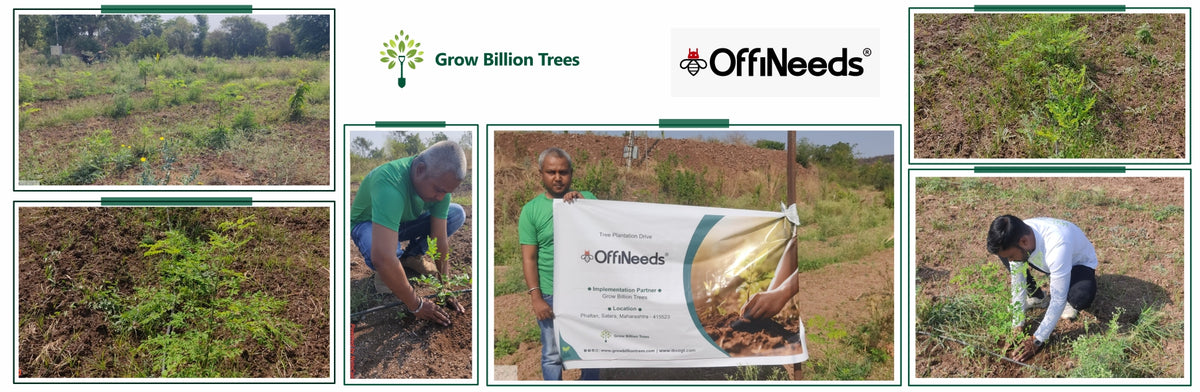 Planting Appreciation: OffiNeeds’ Eco-Conscious Gifting Initiative