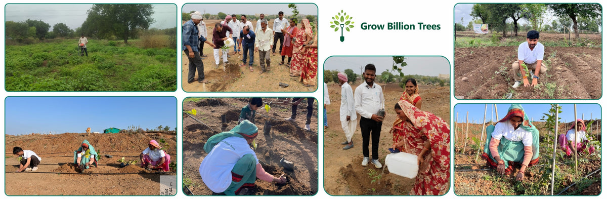 Empowering Village: The Poshan Vatika Initiative by Grow Billion Trees