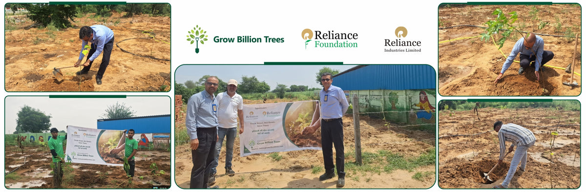 Planting for the Future: A Reliance Foundation Initiative in Gurugram
