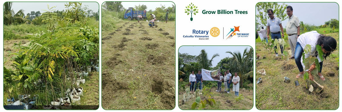 Rooted in Service, Growing Green: Rotary Club of Calcutta Visionaries