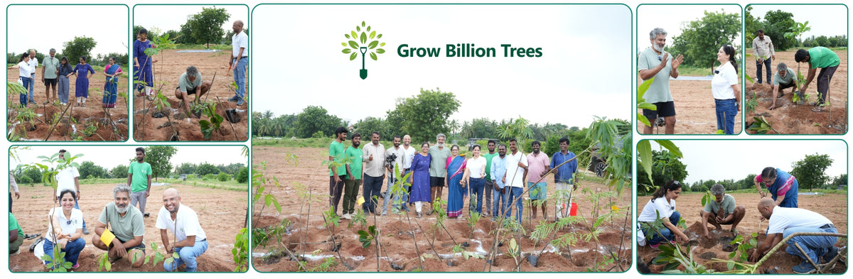 A Dream Rooted in Nature: The SS Rajamouli Family Initiative