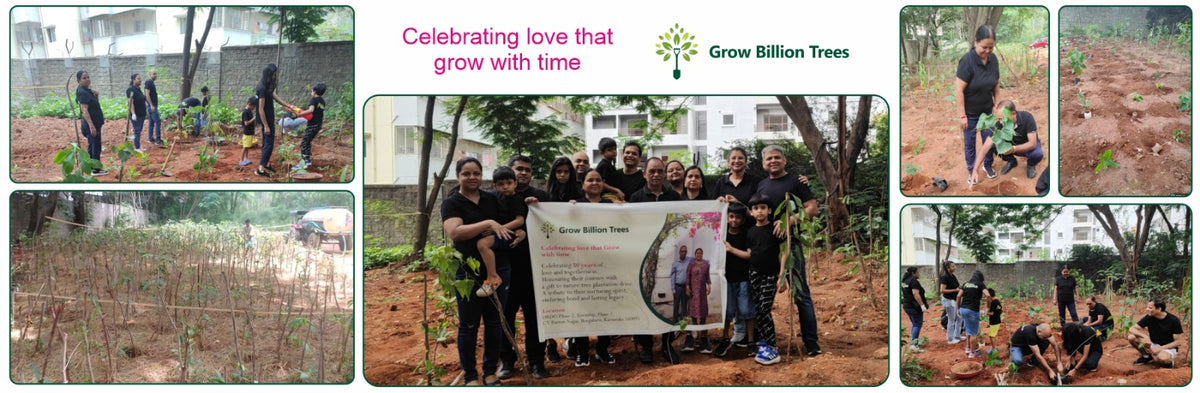 Branches of Love: Honoring Parents with Every Sapling
