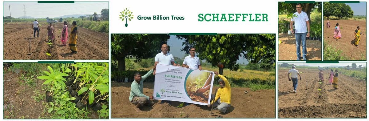 Schaeffler India Supplier Day 2026: Growing for Sustainability
