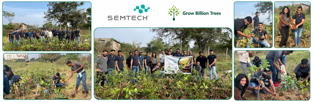 Semtech India’s Urban Forest: Innovating for People and the Planet