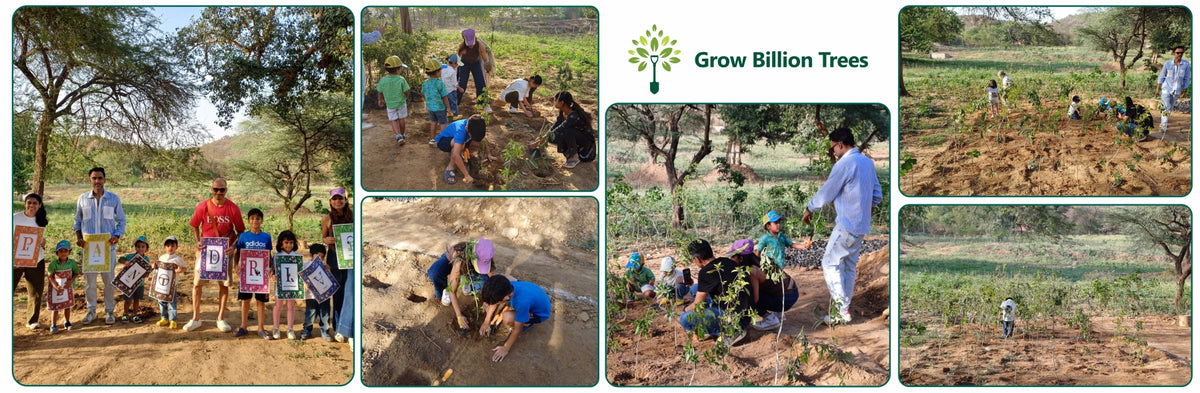 Buds of Change: A Tribute to Earth by Shweta and Friends