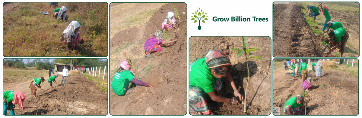 Rooted in Rhythm: Bhavesh Shah & Family Grow Gratitude Trees