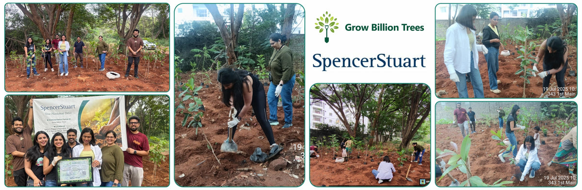 Urban Roots, Global Impact: Spencer Stuart’s Environmental Initiative