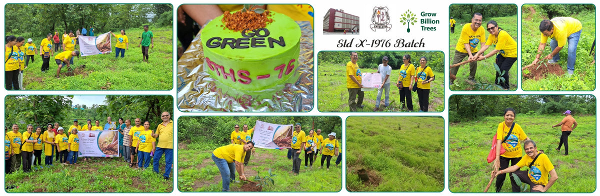 Reuniting to Reforest: St. Thomas 1976 Alumni Go Green