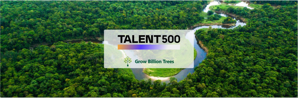 Agroforest Ambitions: Talent500 Plants the Seeds for a Greener Bangalore