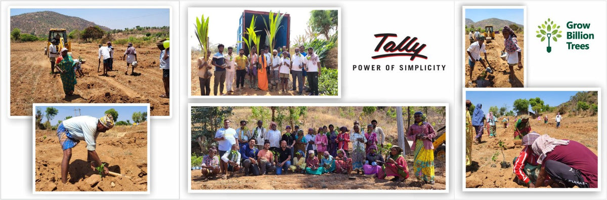 Tally Solutions Private Limited’s Sustainability Initiative