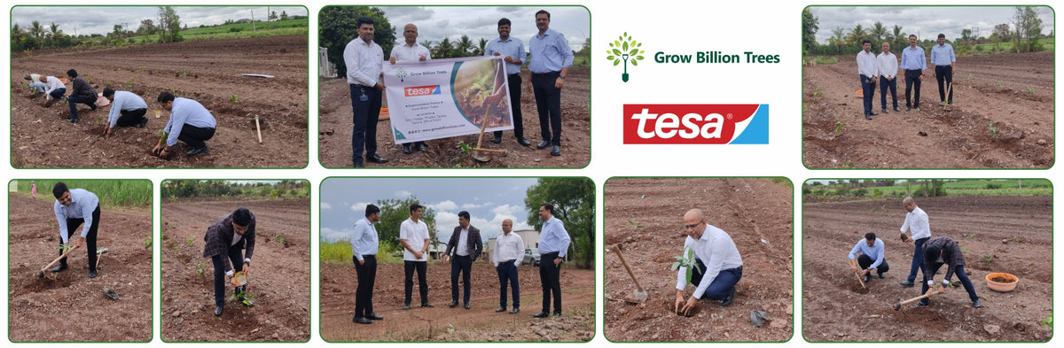 Bonding with Nature: tesa Tapes' Carbon-Conscious Celebration