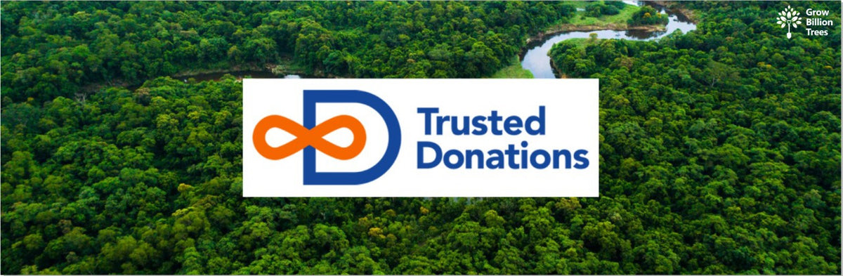 Gifting Trees, Growing Futures: Trusted Donations' Eco-Friendly Initiative
