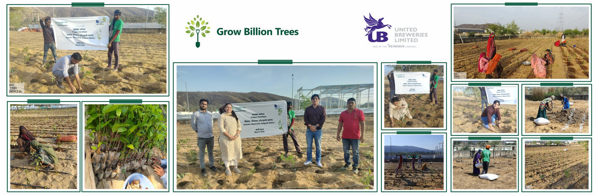 United Breweries Limited’s Green Symphony: Growing a Miyawaki Forest