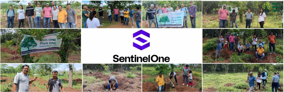 EACH ONE PLANT ONE: SentinelOne’s Green Commitment to Urban Sustainability