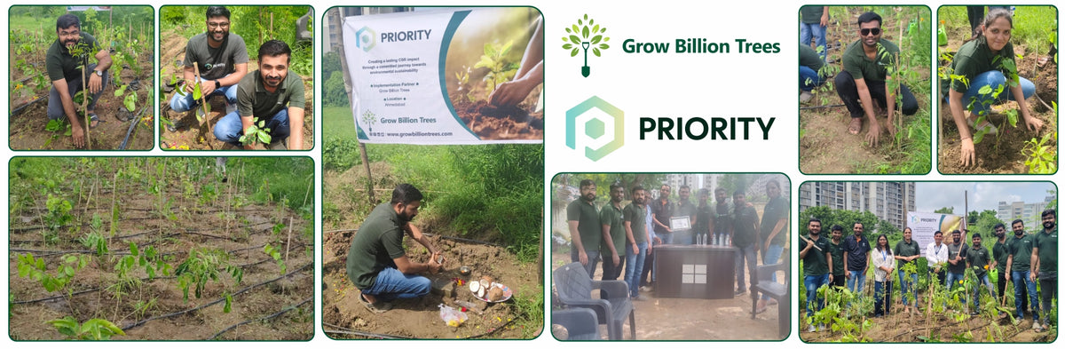 Building Greener Cities: Priority IDC’s Urban Forestry Initiative