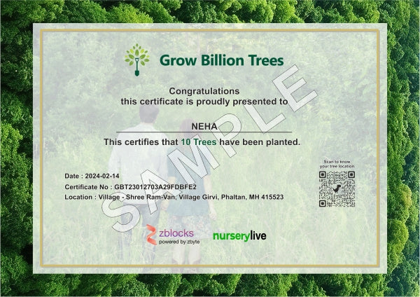 Trees for valentine's day (14th Feb)