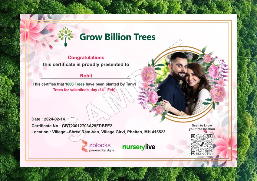 Eternal Love Forest - 1000 Trees Empire on Valentine’s Day