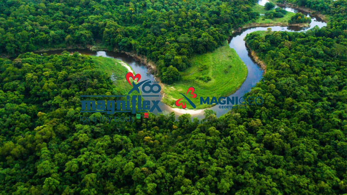 Celebrating Magnigeo's Launch: Polyflex's Agroforestry Initiative