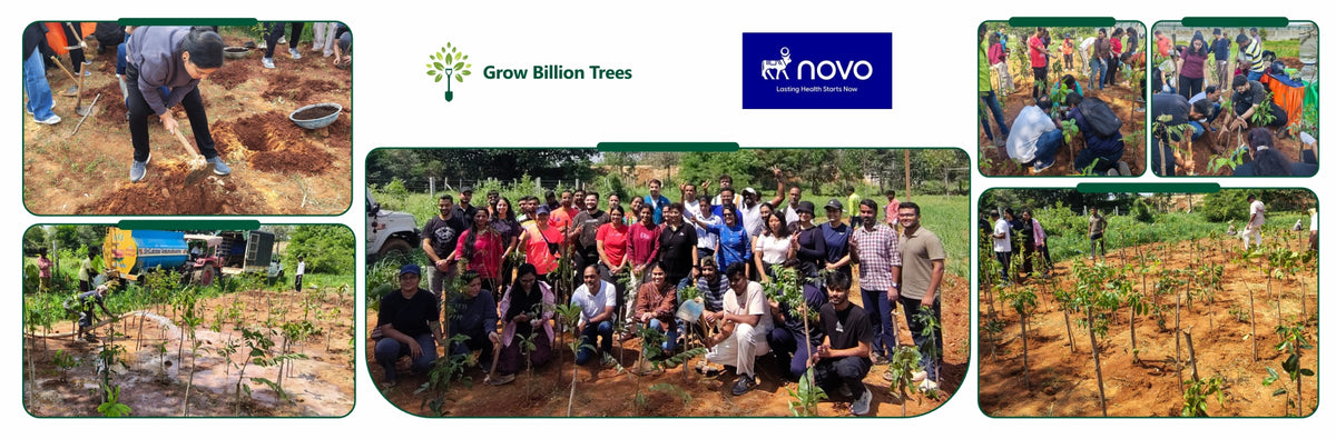 Novo Nordisk: Nurturing Nature, Strengthening Resilience in Bengaluru