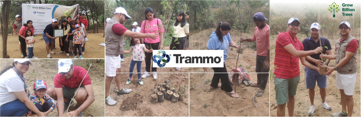 "Trammo Celebrates Earth Day with an Urban Forest Initiative to Engage Employees"
