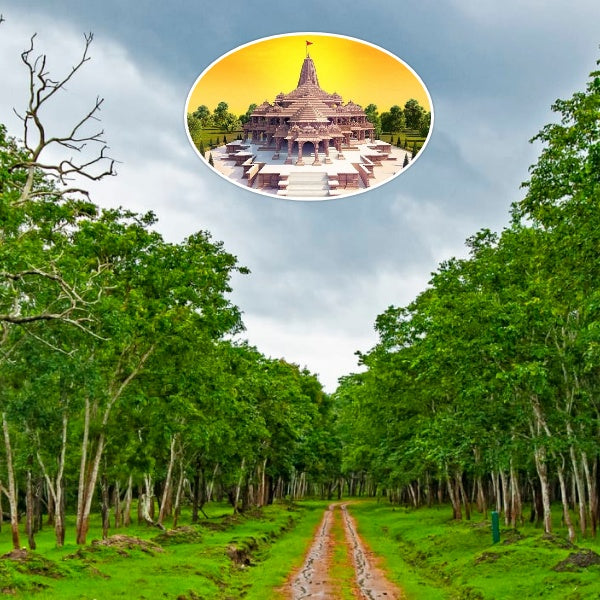 Trees for Shree Ram in Ayodhya Ji