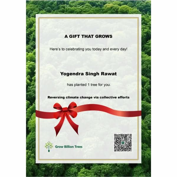 Trees by RR Kabel: Building a Greener Tomorrow