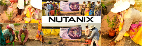Nutanix: Tree Plantation CSR Initiative in Satara