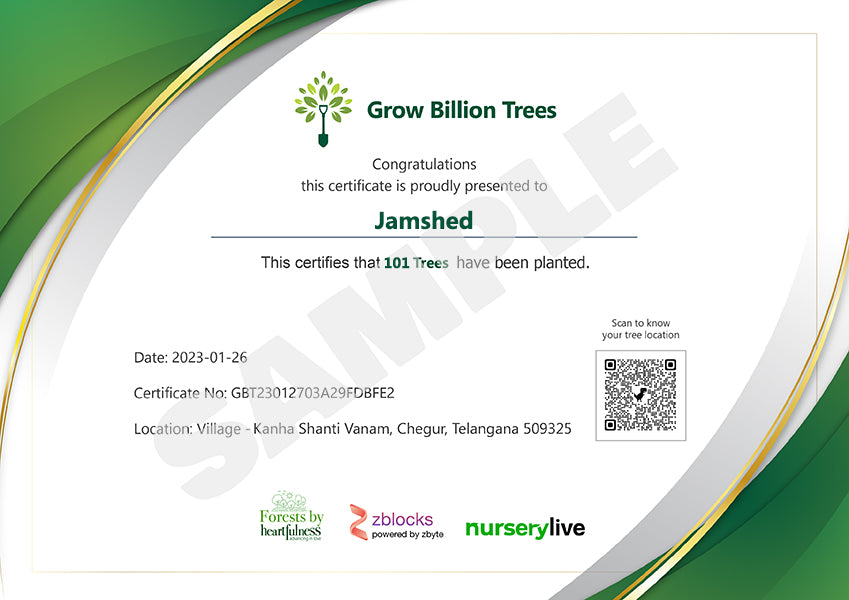 Trees for Navroz (Parsi New Year)