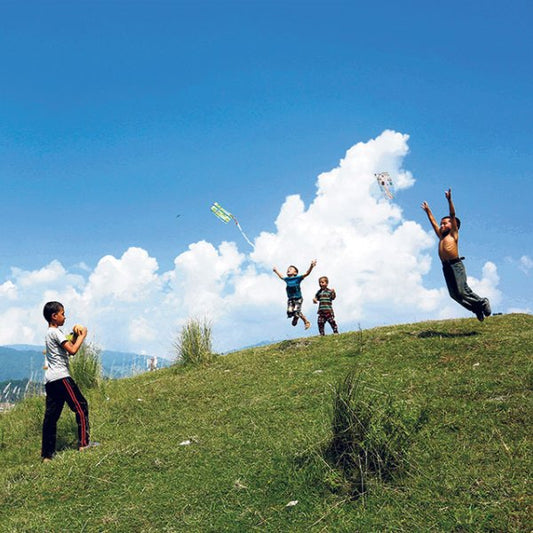 Trees for Makar Sankranti