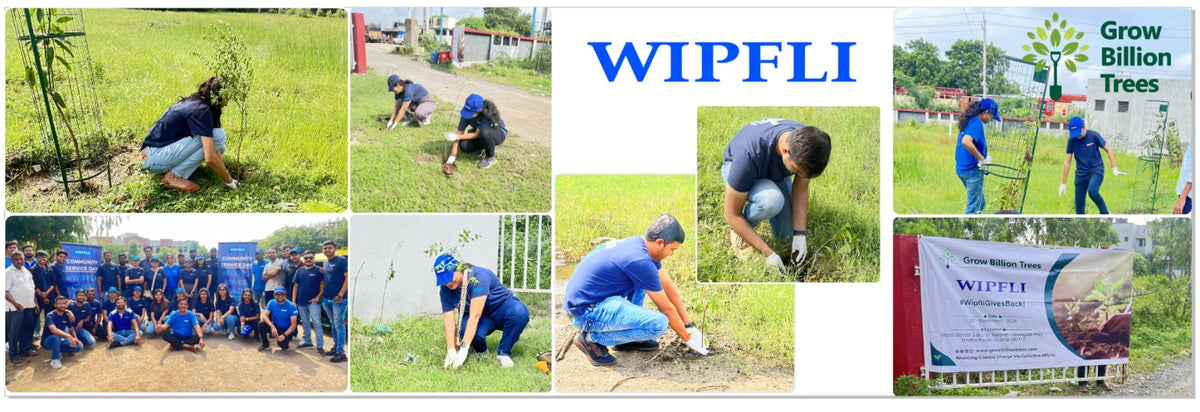 From Office to Oasis: Wipfli’s Employee-Led Urban Forest Initiative