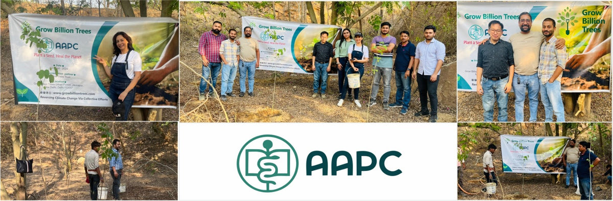 Greening the City: AAPC India Empowers Employees in Urban Forest Creation