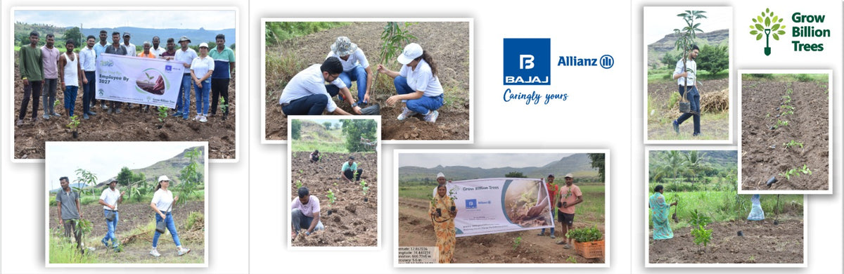 Agroforestry for a Sustainable Tomorrow: Bajaj Allianz General Insurance's ESG Initiative