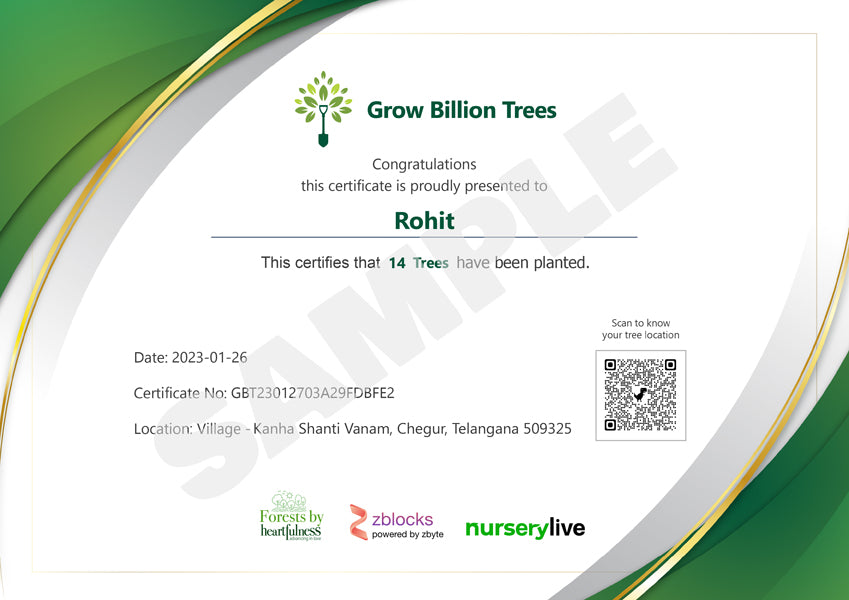 Trees for Makar Sankranti