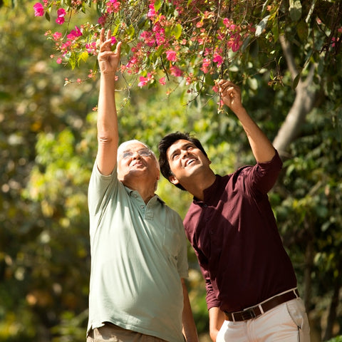 Trees for Father In-Law: Meaningful Gift Ideas 2026