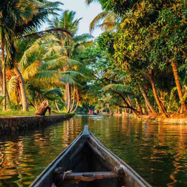 Trees for Onam
