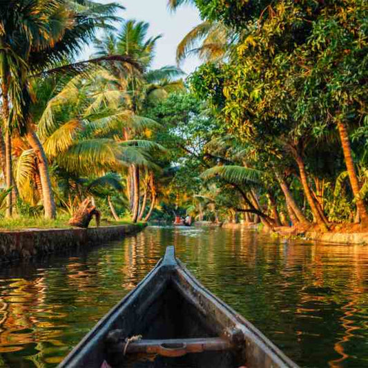 Trees for Onam